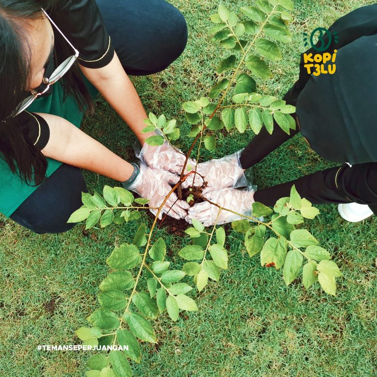 Processed with VSCO with j2 preset